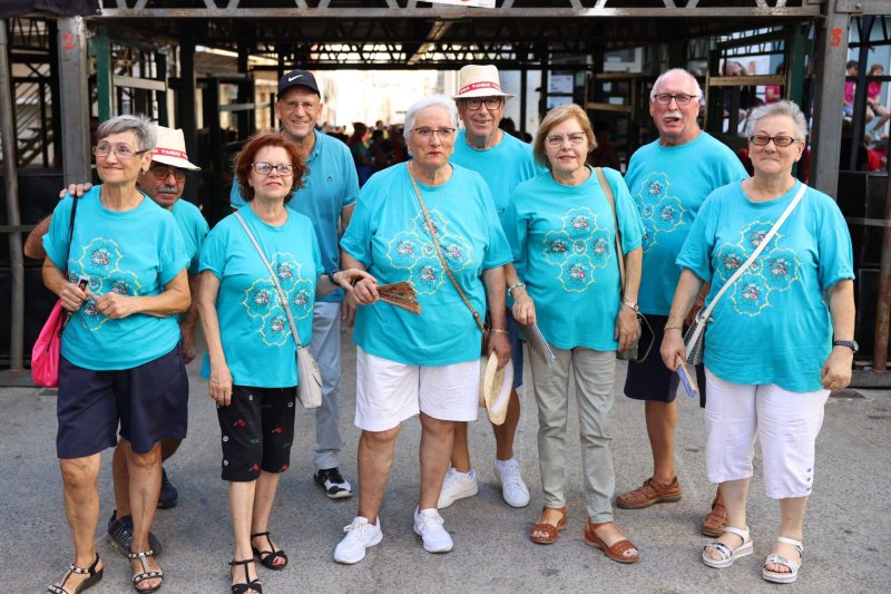 Galeria de fotos (no oficials) del Dia de les Quintades a Pedreguer Galeria de fotos (no oficials) del Dia de les Quintades a Pedreguer